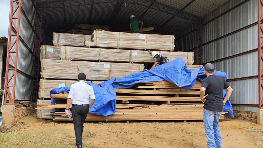 Bolivia investiga el caso “Narcomaderas”